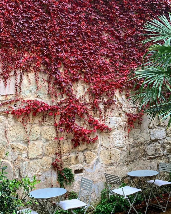 B&B La Maison Galiene บอร์โด ภายนอก รูปภาพ